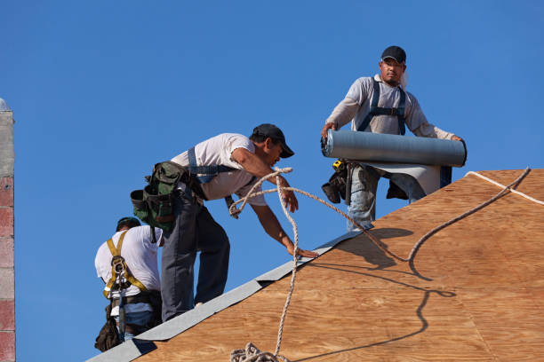 Best Local Roofing Companies  in Decatur, IL