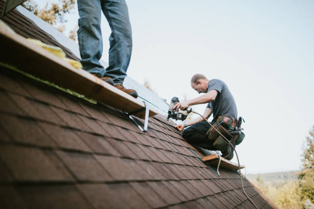 Best Storm Damage Roof Repair  in Decatur, IL
